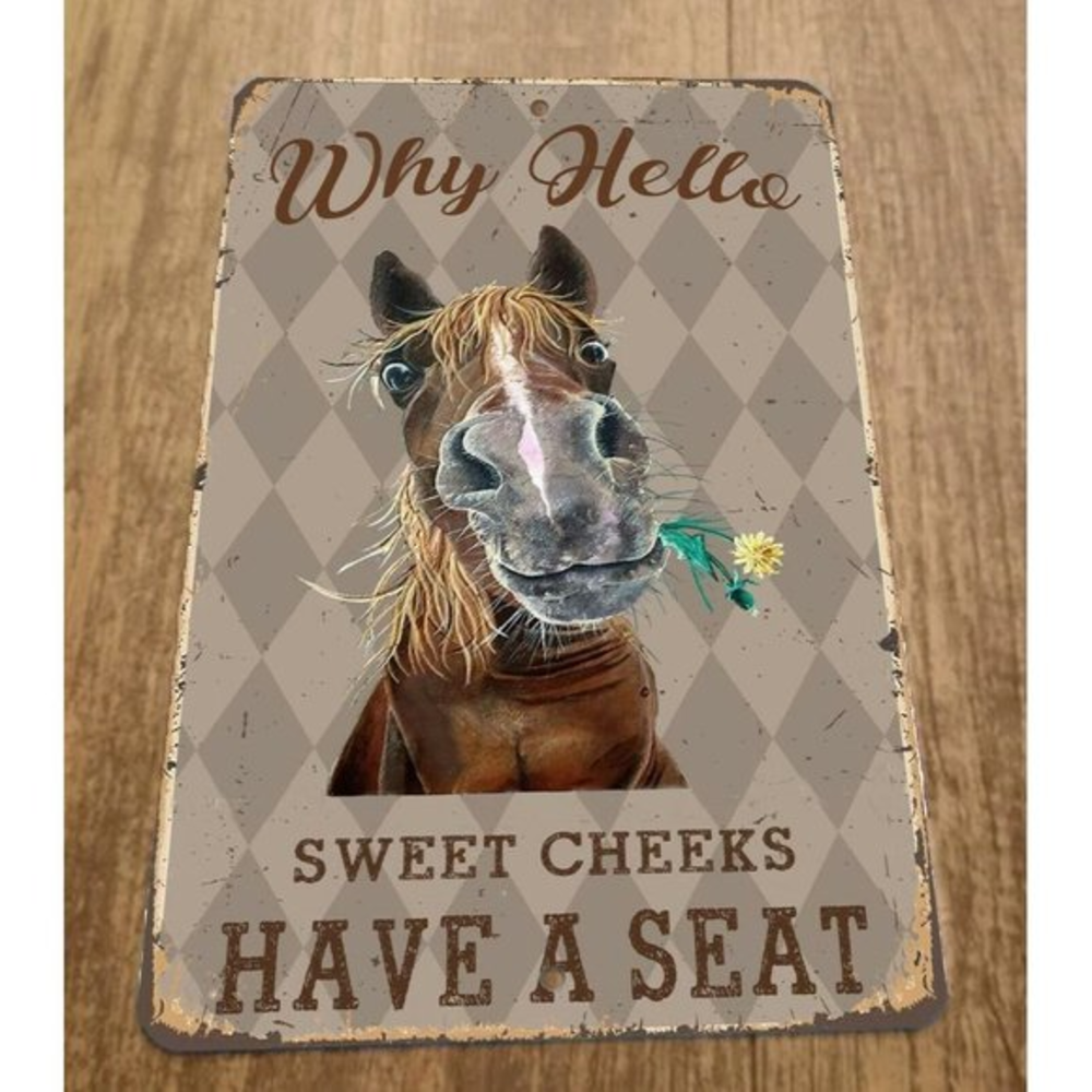 Why Hello Horse Sweet Cheeks Have a Seat 8x12 Metal Wall Sign